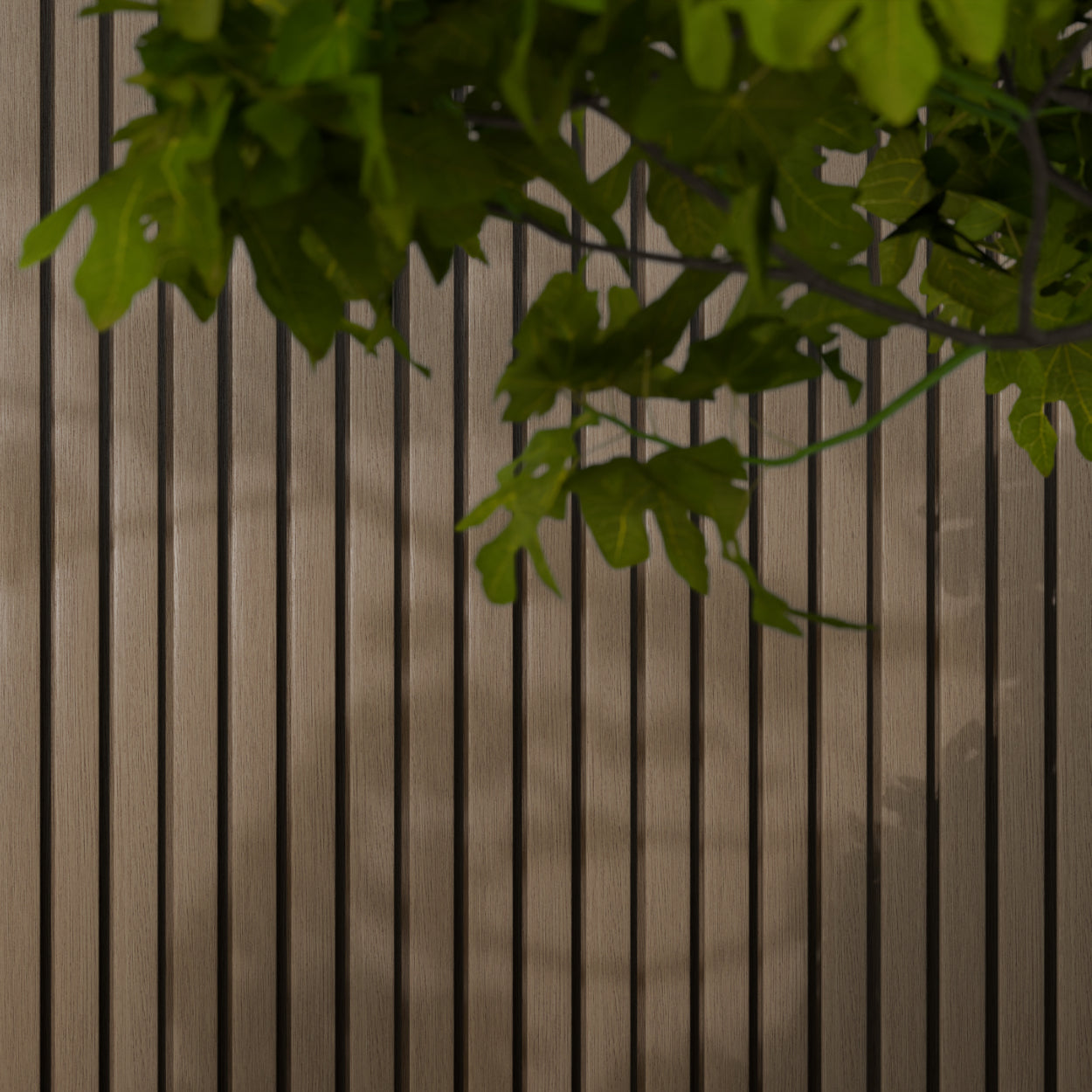 Cladding Panel Timber Battens Feature Wall Outdoor Cladding Seamless ...